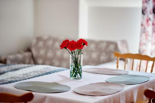 Hostal Pokoje U Anny