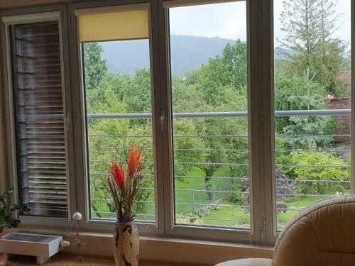 Apartament Familijny Beskidzki