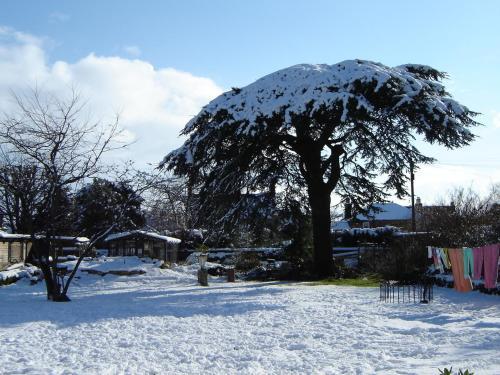 Hostal Rathan House - Guesthouse At Eskbank