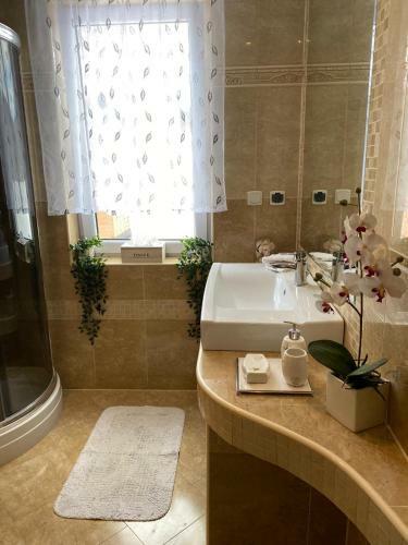 Apartamento U Kowola - Gospodarstwo Agroturystyczne