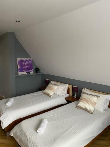Apartamento U Kowola - Gospodarstwo Agroturystyczne