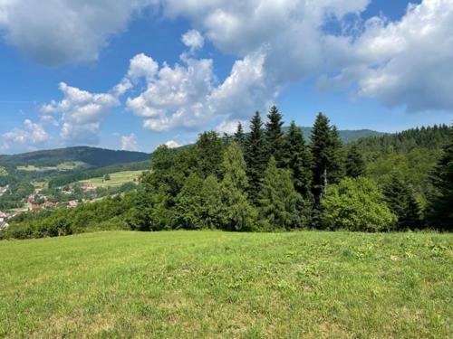 Apartamento U Kowola - Gospodarstwo Agroturystyczne
