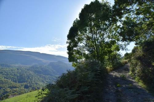 Les Pedres
