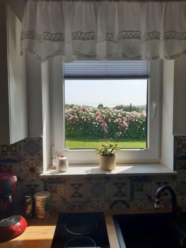 Apartamento Blisko Lasu