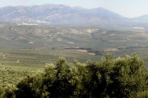 Cortijo El Derramadero