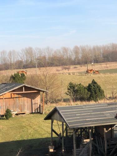 Apartament U Maksa W S?onecznych Apartamentach