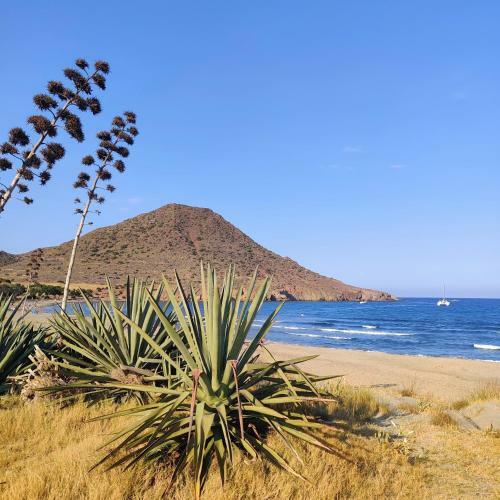 Apartamento Villa Laguna - Your Duplex In The Sun!