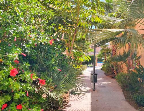 Apartamento Villa Laguna - Your Duplex In The Sun!