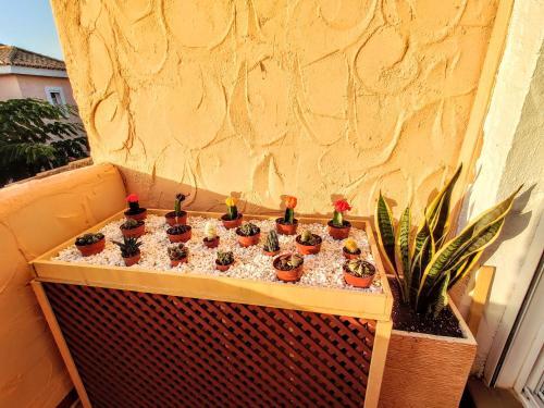 Apartamento Villa Laguna - Your Duplex In The Sun!