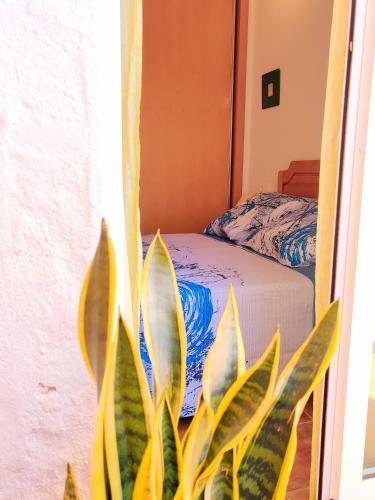 Apartamento Villa Laguna - Your Duplex In The Sun!