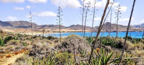 Apartamento Villa Laguna - Your Duplex In The Sun!