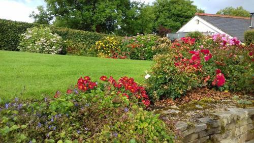 Bed & Breakfast Willowbank House