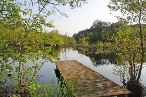 Holiday Resort, Wiselka
