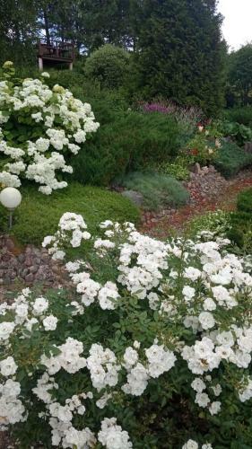 Lodge Agroturystyka Na Skarpie