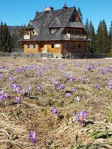 Hostal Willa Giewontka