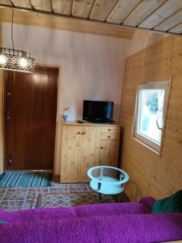 Apartament Wolin Nad Wod? Ko?o Miedzyzrdroj�w