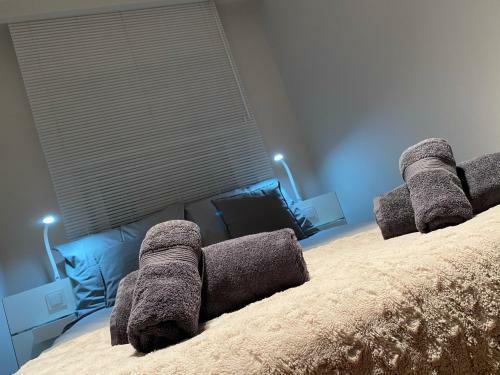 Apartament Opieszyn