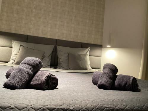 Apartament Opieszyn