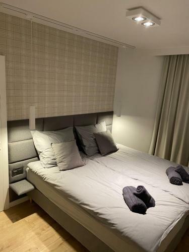 Apartament Opieszyn
