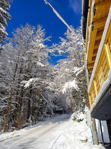 Apartamenty - Kr�l G�r -