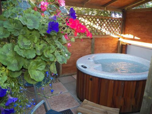 Hostal Cypress Log Cabins B&B