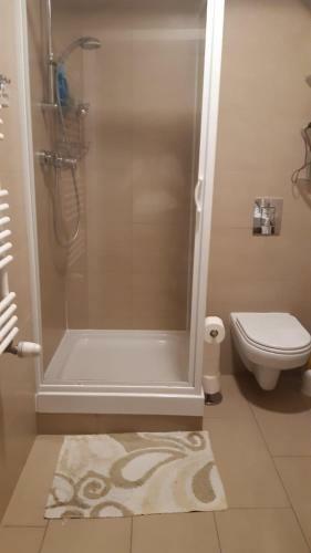 Apartament Wis?a Bukowa