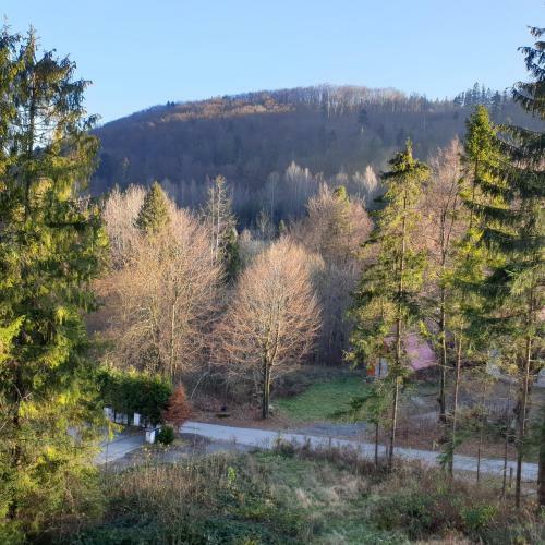 Apartamento Bukowy Stok