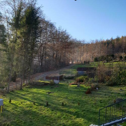 Apartamento Bukowy Stok
