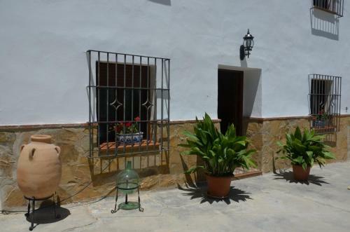 La Perdiz De Molinca