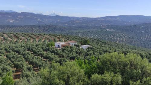La Perdiz De Molinca