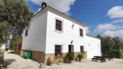 La Perdiz De Molinca