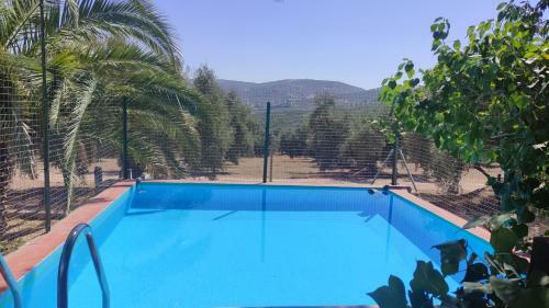 La Perdiz De Molinca