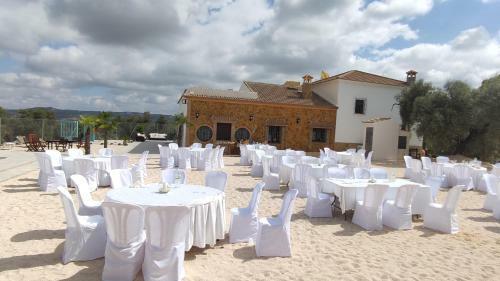 La Perdiz De Molinca