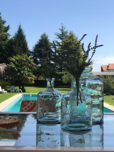Villa Las Camelias
