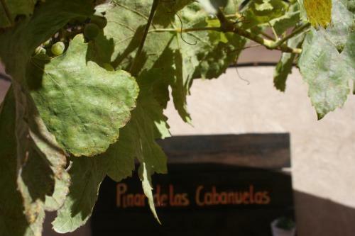 Pinar De Las Caba�uelas