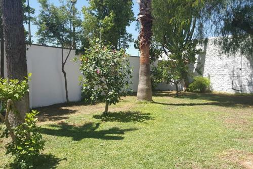 Villa Del Manzano