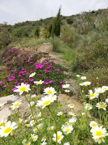 Agroturismo Casa Rural Castillomartin
