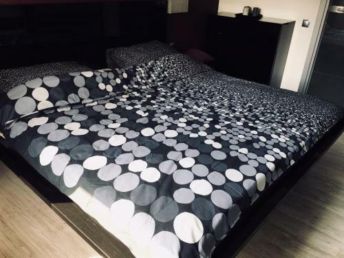 Apartament Ala