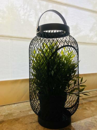 Apartament Ala