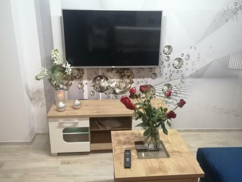 Apartamento Apertament Kosmos