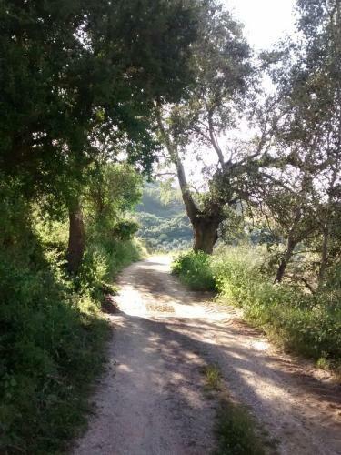 Apartamento Nuevo En Sierra Sur Sevilla