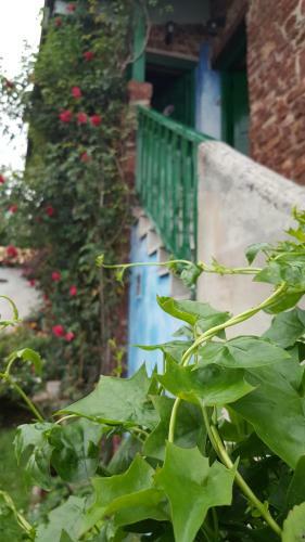 Apartamentos Villar