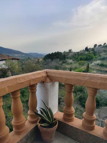 Apartamento Casa Rub�n Dar�o