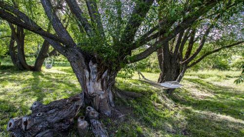 Agroturismo Mas�a El Cabrero