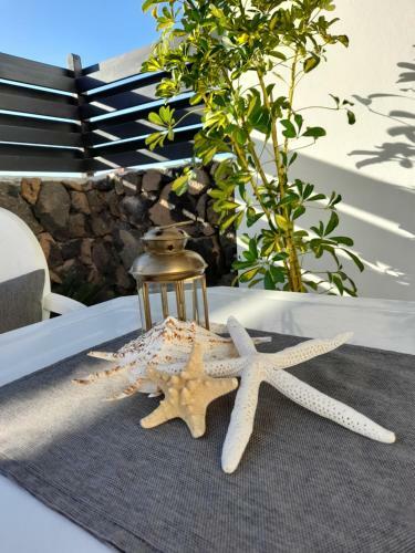 Apartamento Lofoten Studio