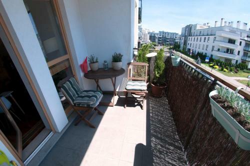 Warsaw - Aparts Wilan�w Led�chowska