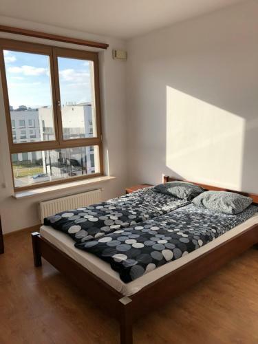 Warsaw - Aparts Wilan�w Led�chowska