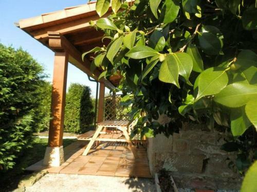 Apartamentos Casa B�rbora