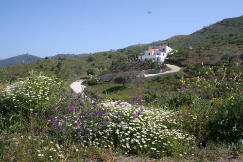 Bed & Breakfast Casa Amani