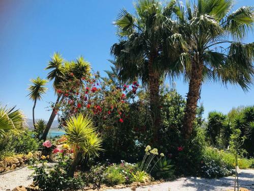 Bed & Breakfast Casa Nuestro Sue�o
